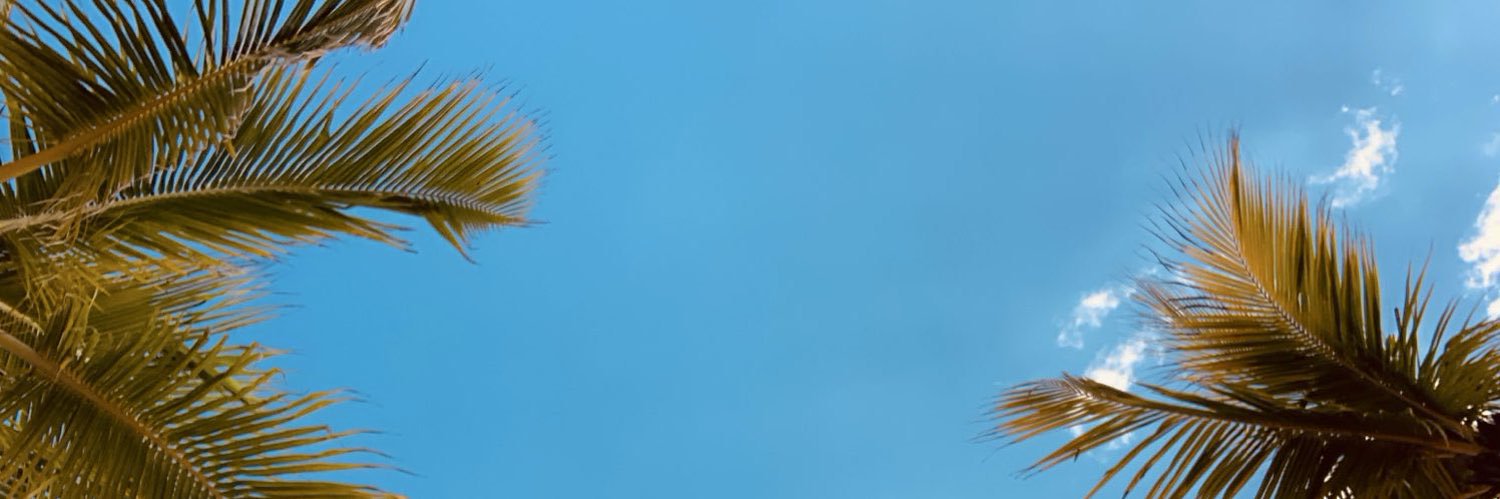 ZachyMarkovich's profile banner image