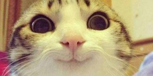 Jaidyn_EM's profile banner image