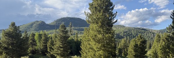 damnbluci Profile Banner