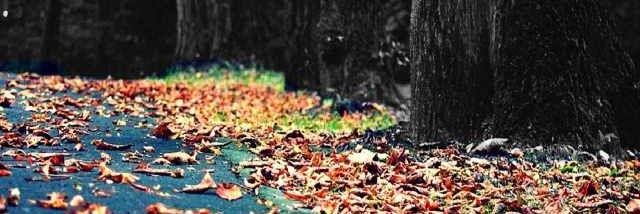 _dianalopez12's profile banner image