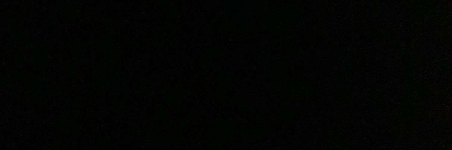 Rachel Hoff banner