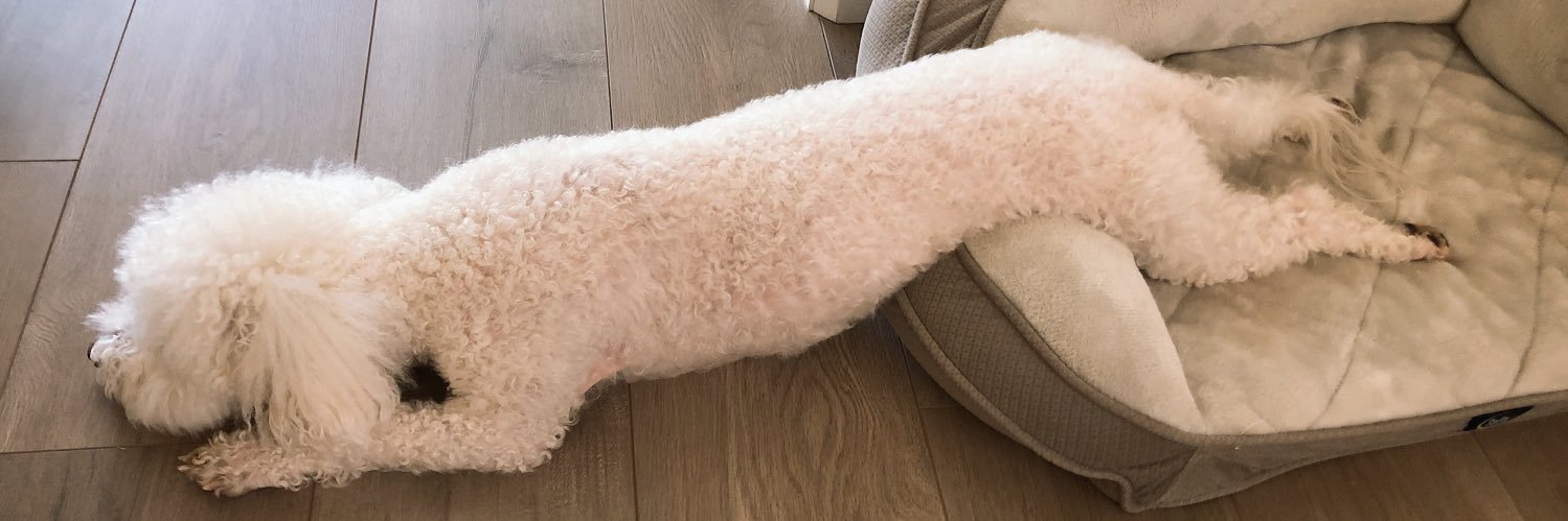 hannahjoo_'s profile banner image