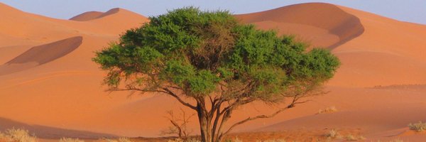 asalamAlsalman Profile Banner