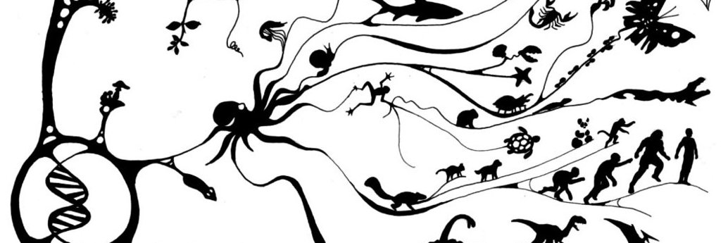 Reempeless's profile banner image