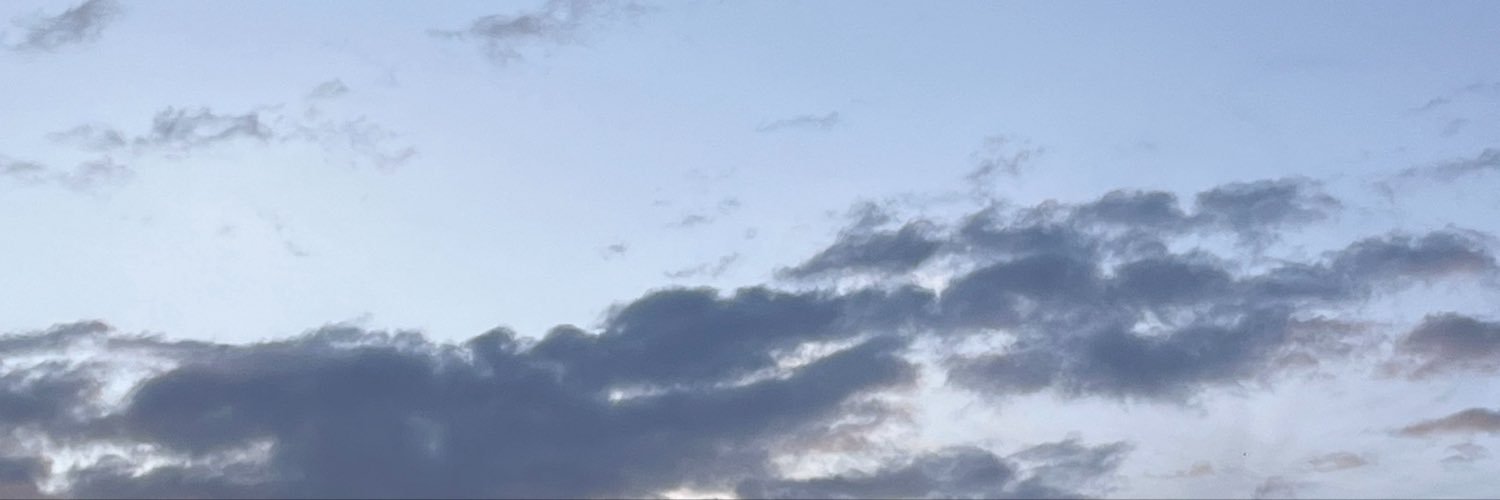 Taohoo_Net's profile banner image
