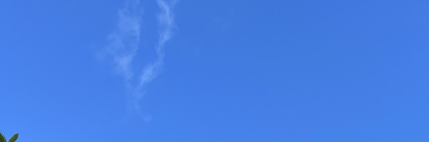 acdleonor's profile banner image