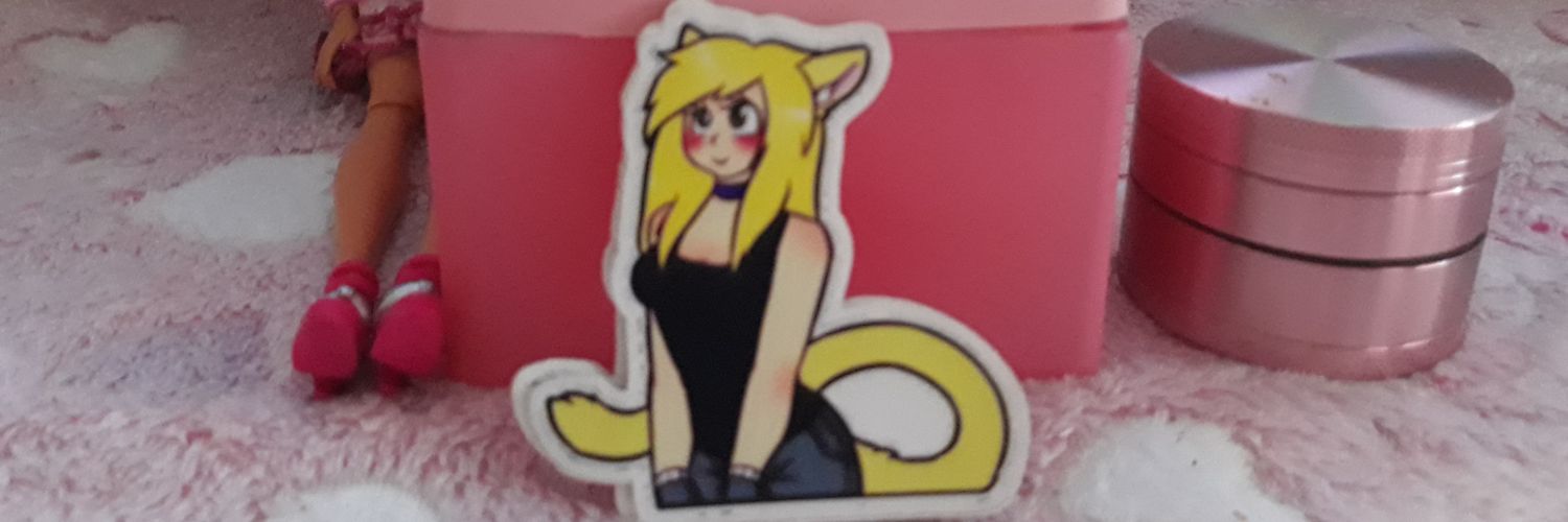 KittyValentineMeow banner