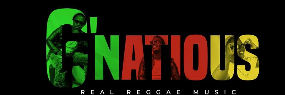 GnatiousMusic's profile banner image