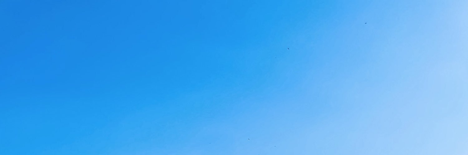 assiismarina's profile banner image