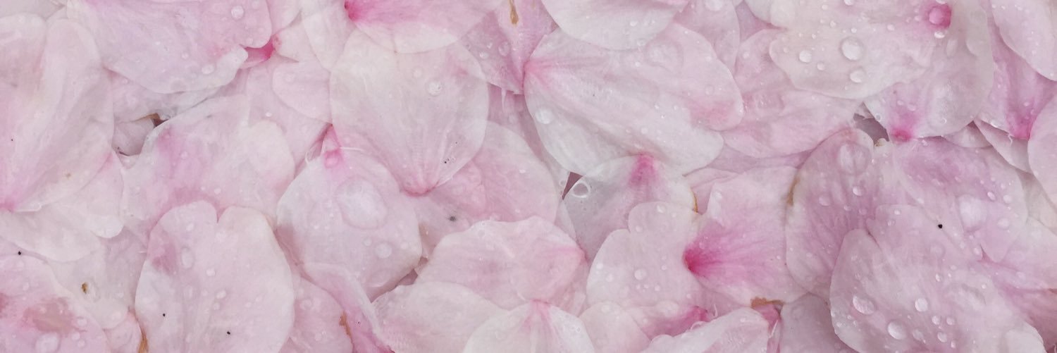 erimorm1k6's profile banner image