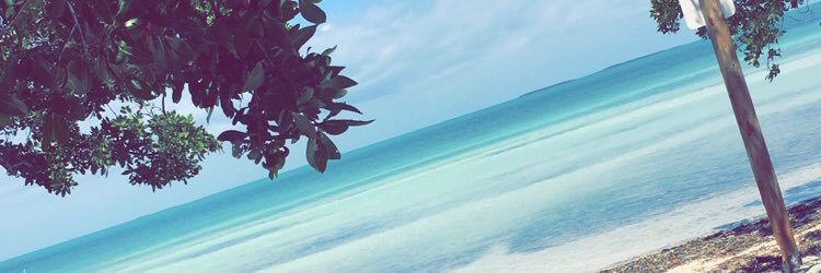 RussomEmily's profile banner image