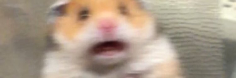 CatttFoxxx's profile banner image