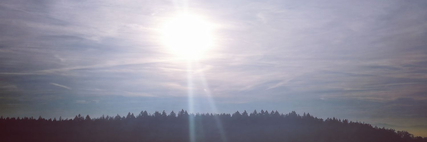 silvibpunkt's profile banner image