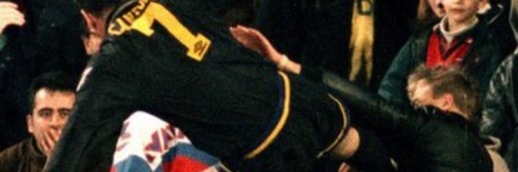 🦈 banner