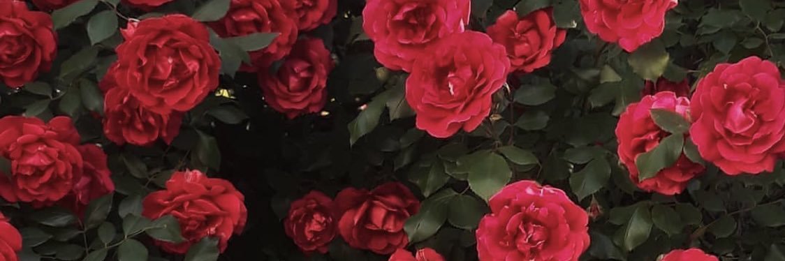 xmellee's profile banner image