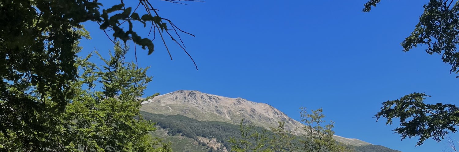 luisaBag's profile banner image