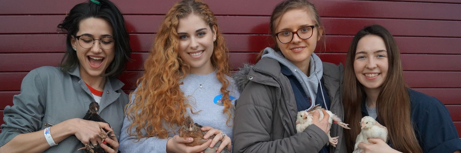 Morgane Golan banner