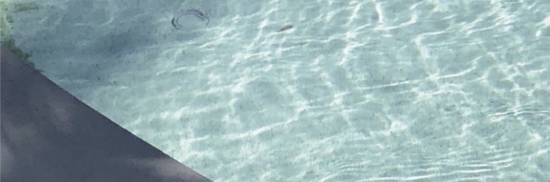 malovegi's profile banner image