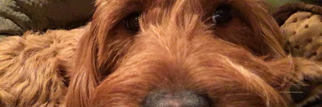 vicmatedero's profile banner image