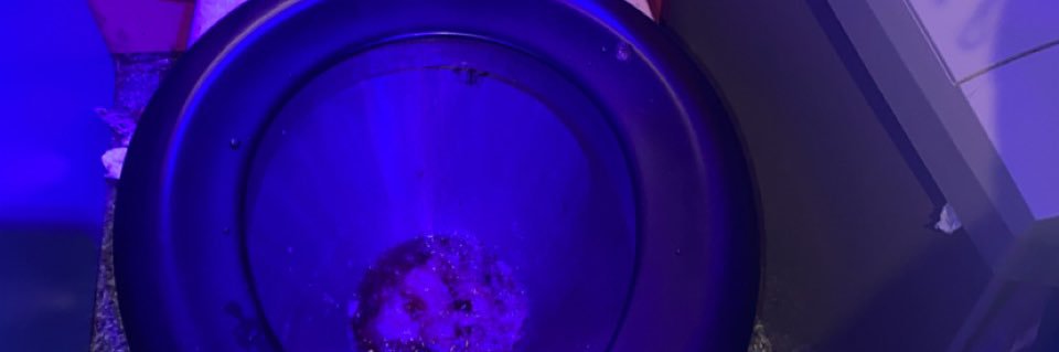 ashlynhcooke's profile banner image