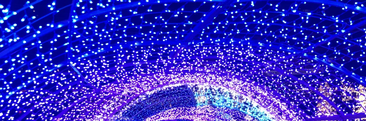 noellehaha's profile banner image