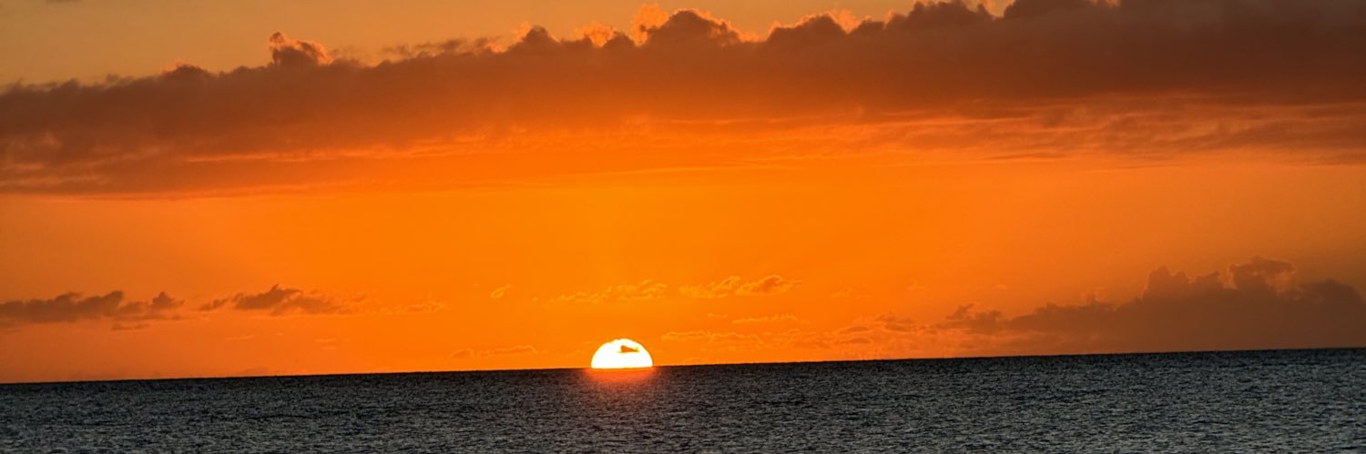 memma2847's profile banner image