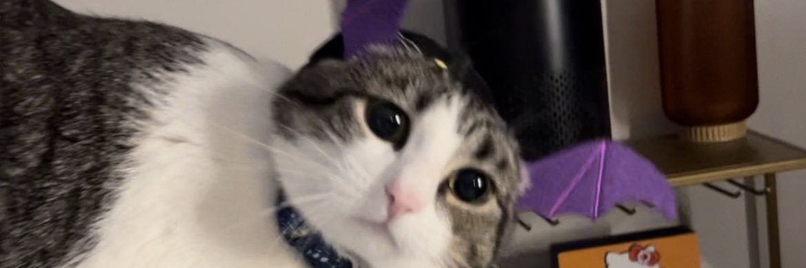eesweez's profile banner image