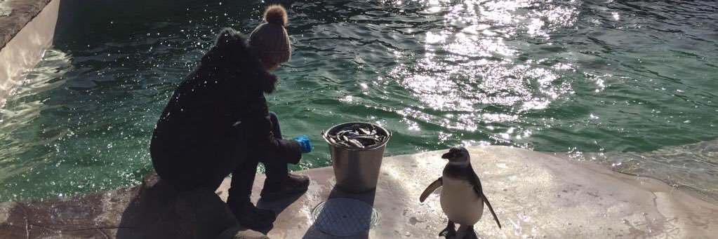 Dr Michelle Whitehead banner