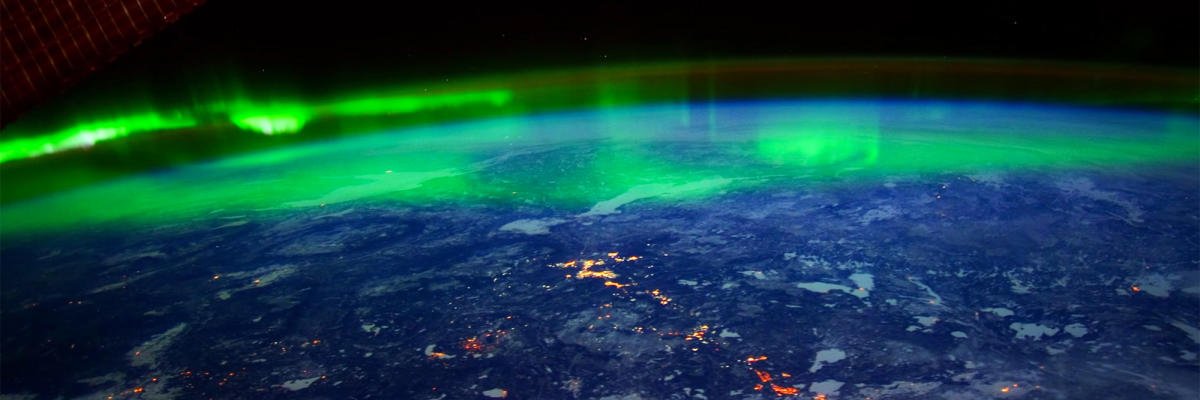 schellong's profile banner image