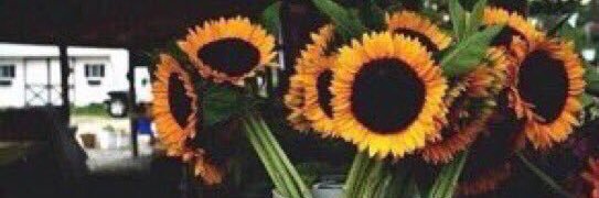 C7Otoni's profile banner image