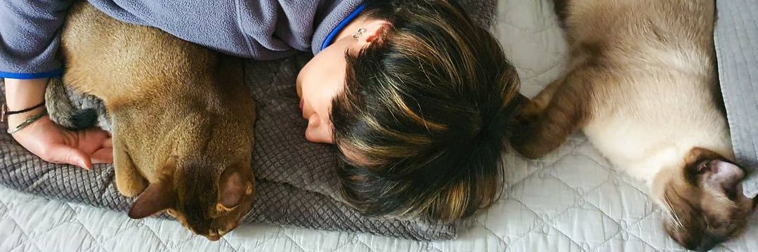 🐱🌿 banner
