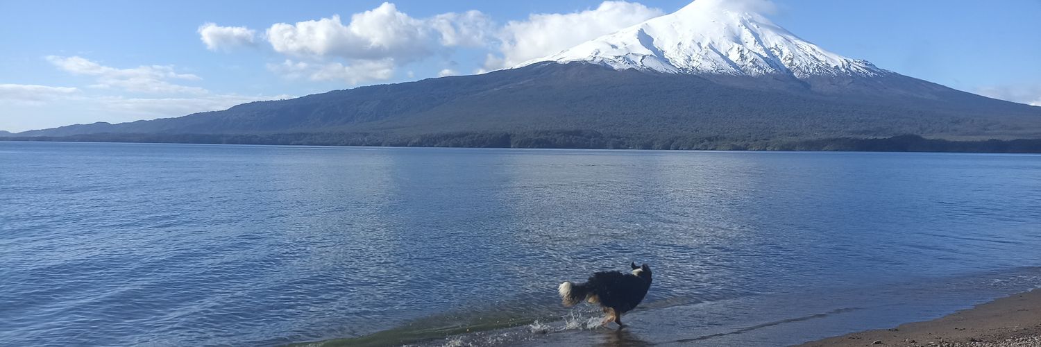 Alejandra banner