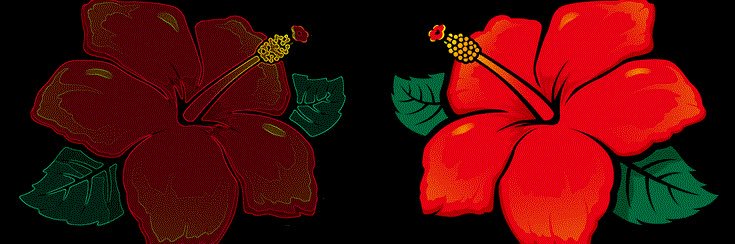 やよ banner