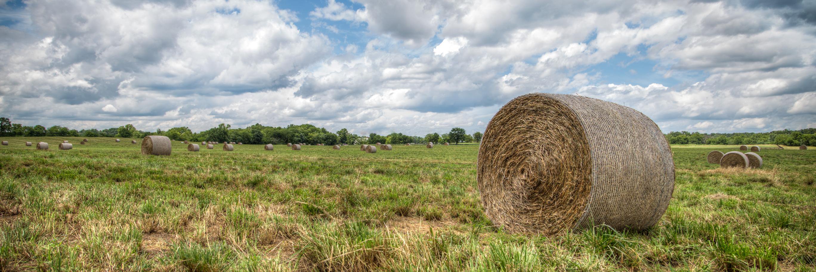 FarmLawAdvisor's profile banner image