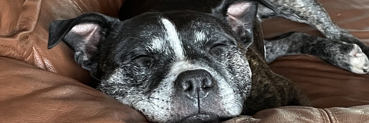 rivercobbler's profile banner image