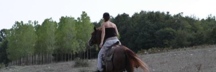 edateksoz7's profile banner image