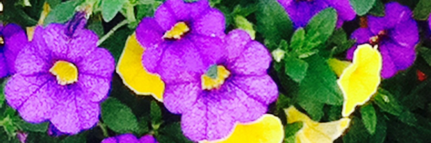ragscash's profile banner image