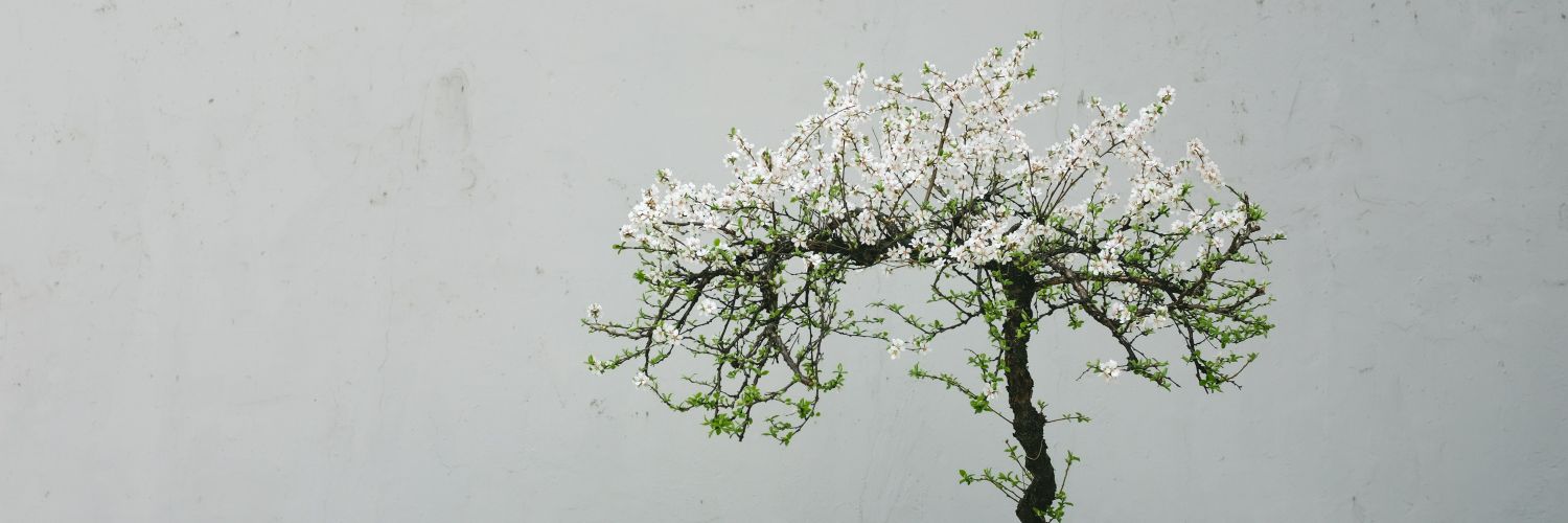 visiodeibc's profile banner image