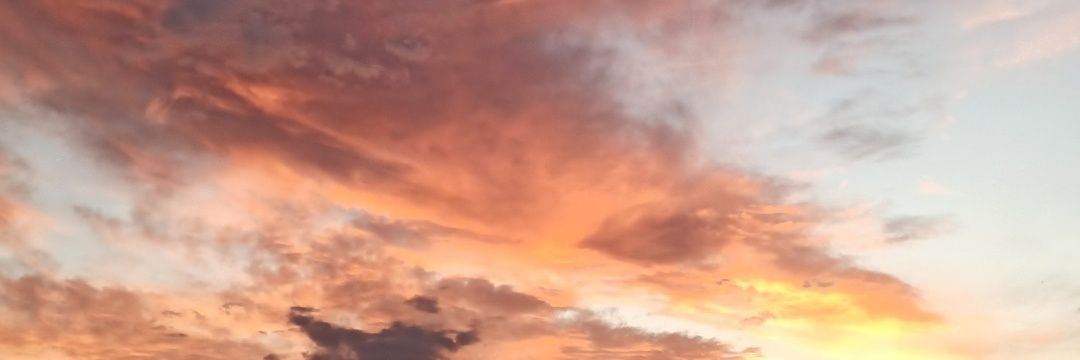 halimarouabhi's profile banner image