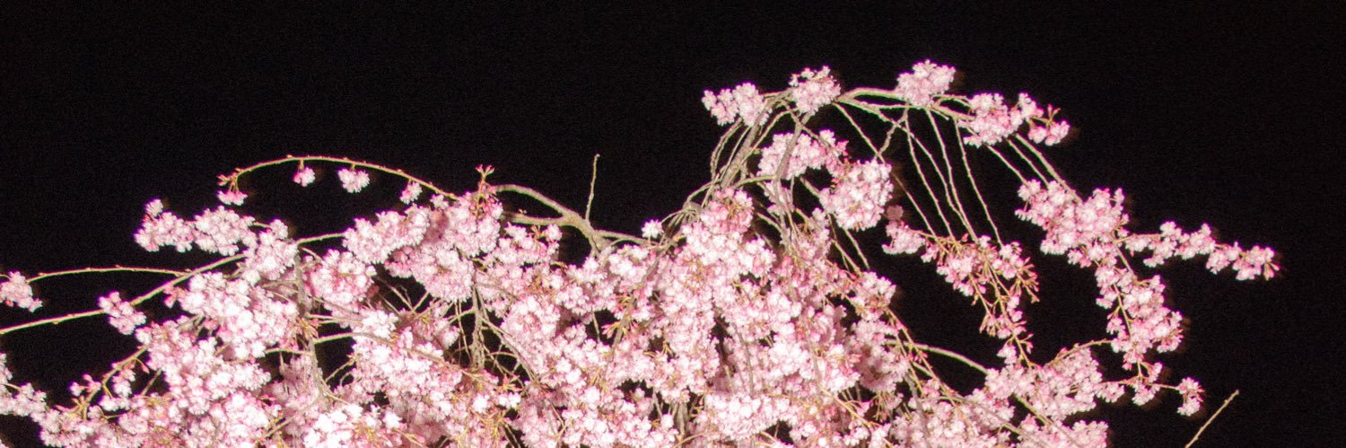 Joeyxreign's profile banner image