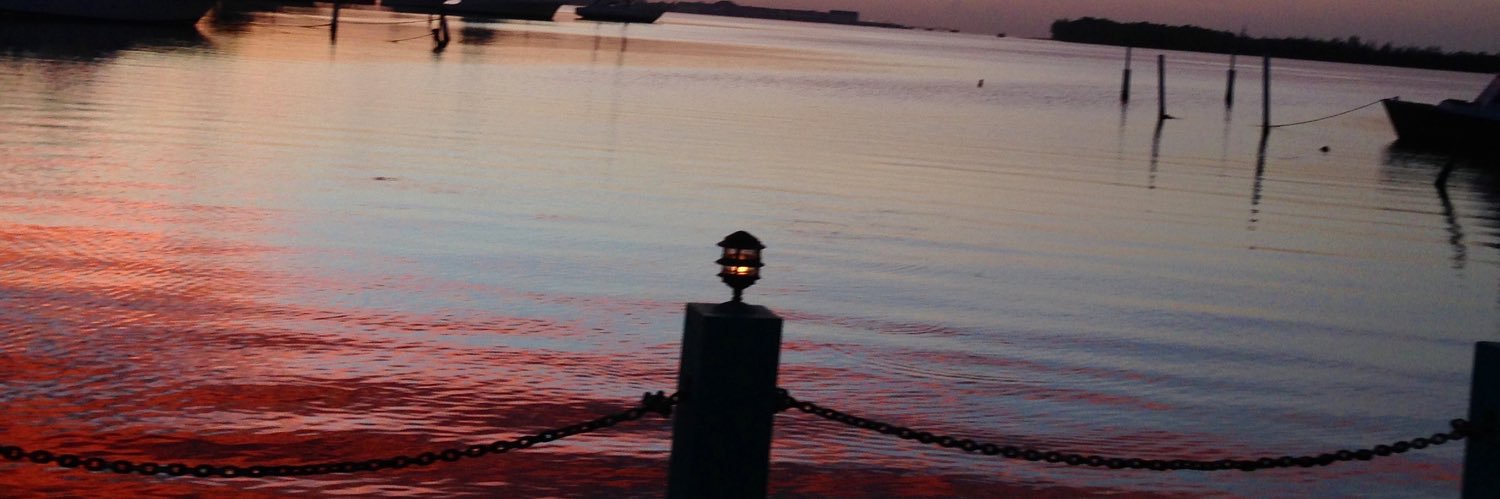 veobia's profile banner image