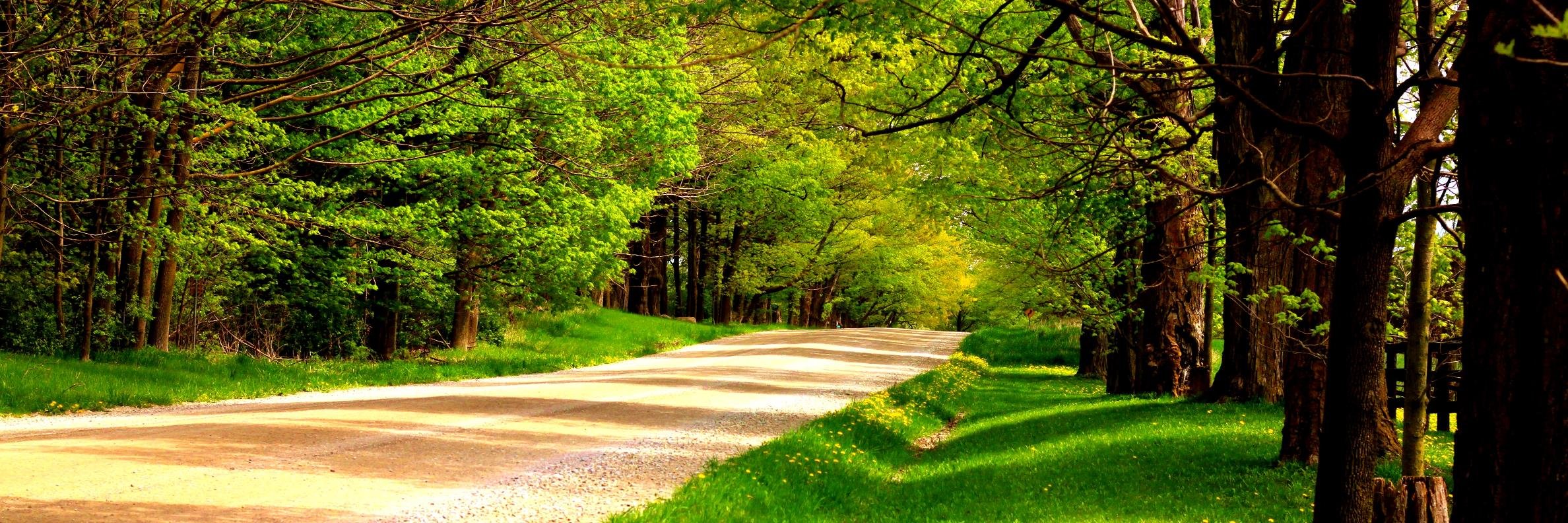 dvanwyck's profile banner image