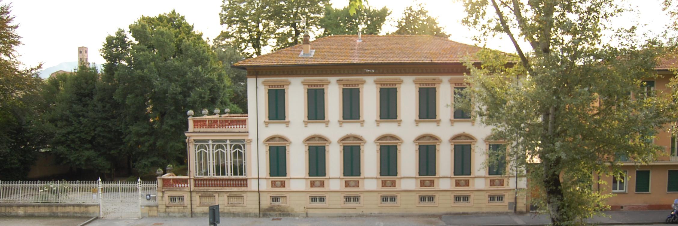 luccaitschool's profile banner image