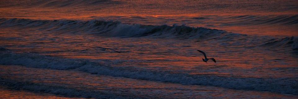 debiw781's profile banner image
