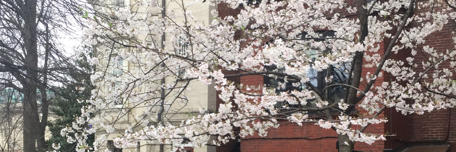 Ashmita Sethi banner