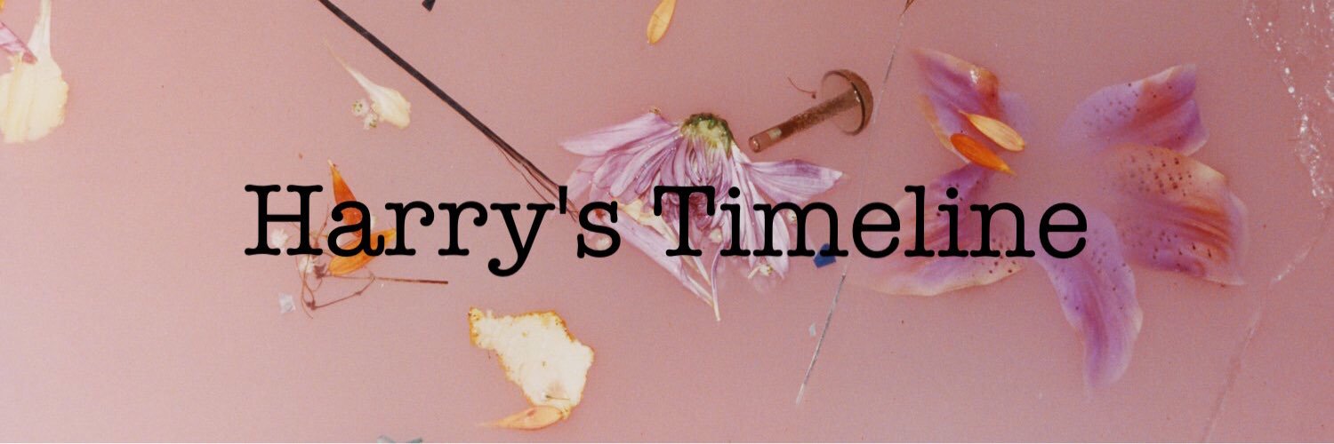 HarrysTLhere's profile banner image