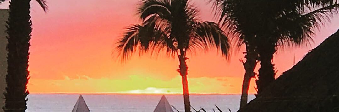 Suzy McNulty, MD ☮️ banner