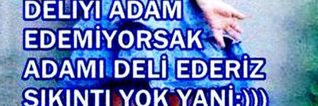 Ellfim's profile banner image