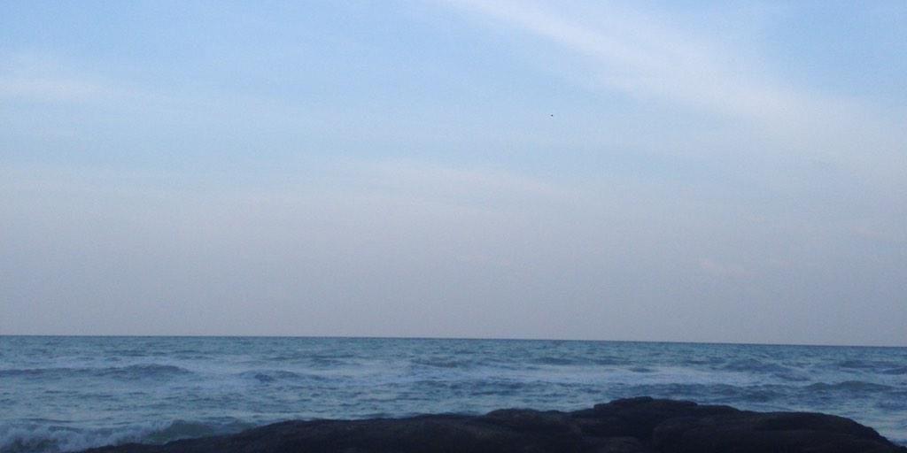 joy_cypton's profile banner image