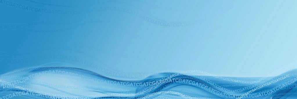 Michael Gallad banner